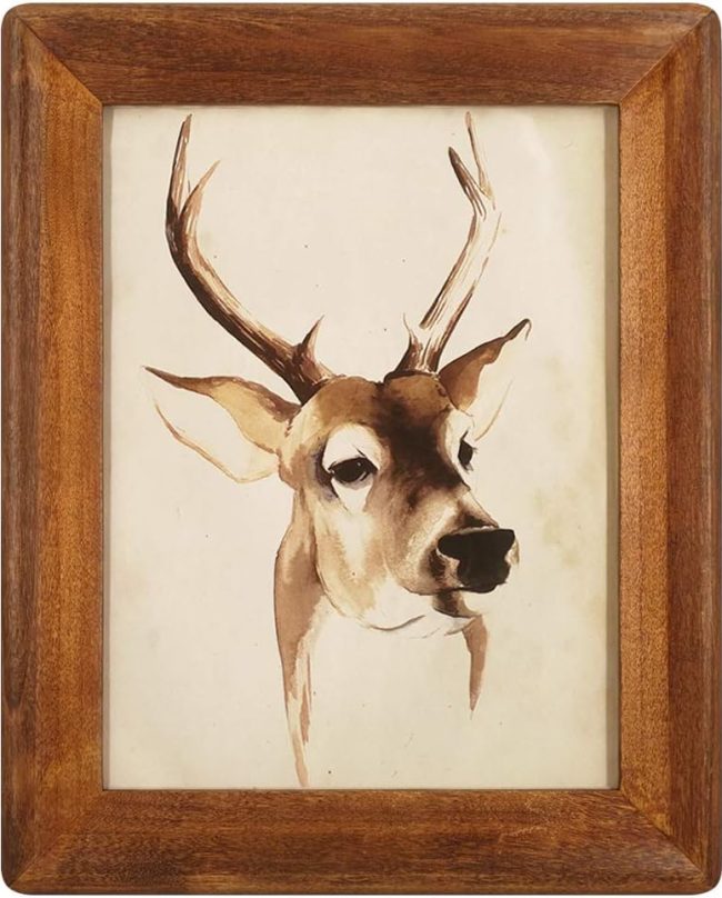Rustic Wood Art Frame with Glass Front Display