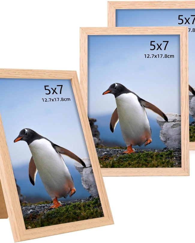 Solid Wood Gallery Art Frame Set Display