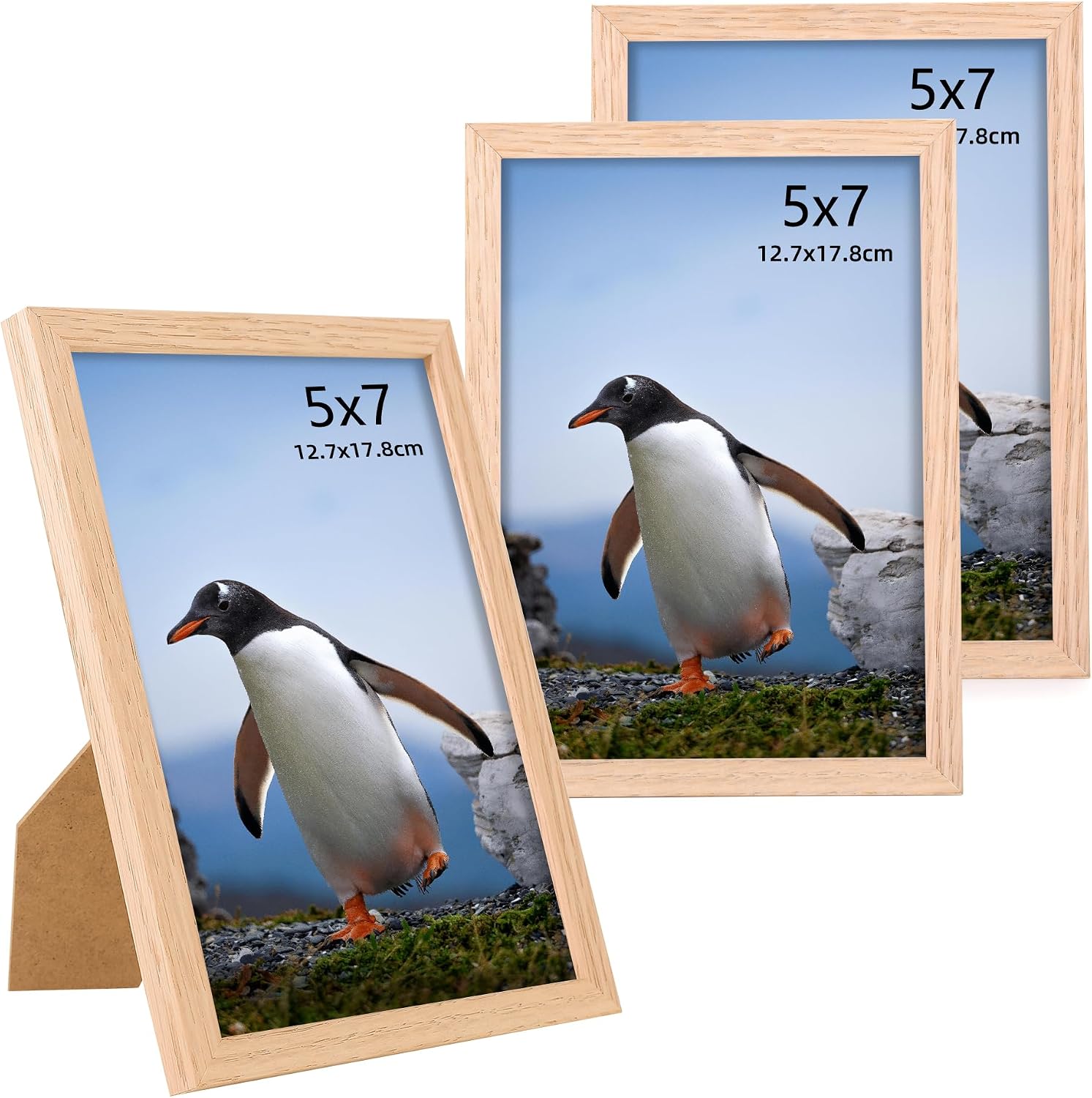 Solid Wood Gallery Art Frame Set Display